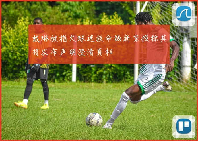 戴琳被指欠球迷救命钱新京报称其将发布声明澄清真相