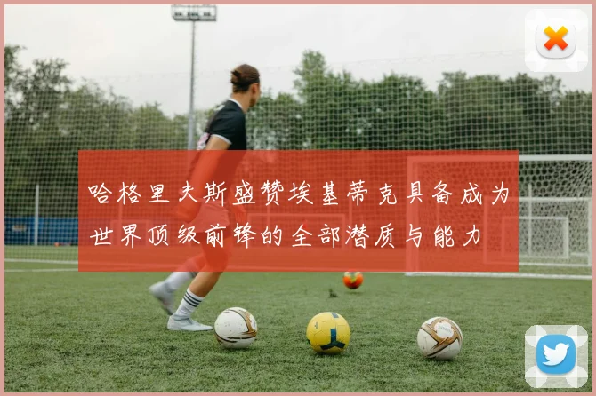 哈格里夫斯盛赞埃基蒂克具备成为世界顶级前锋的全部潜质与能力