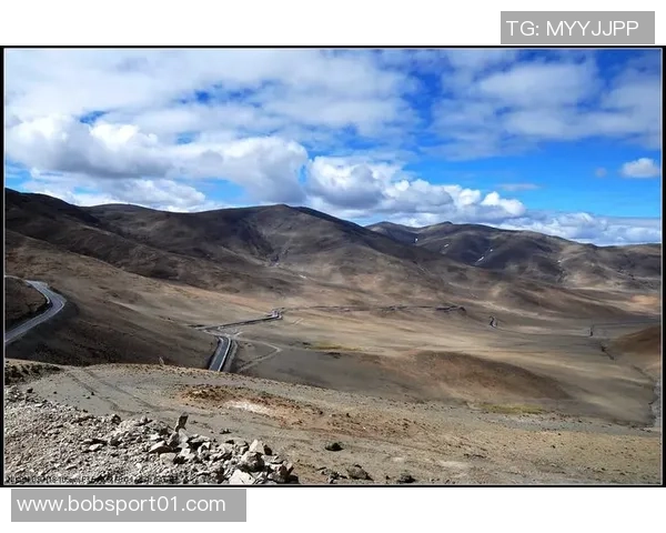 追梦西部挑战虽艰难但我们与湖船携手共创辉煌争夺冠军